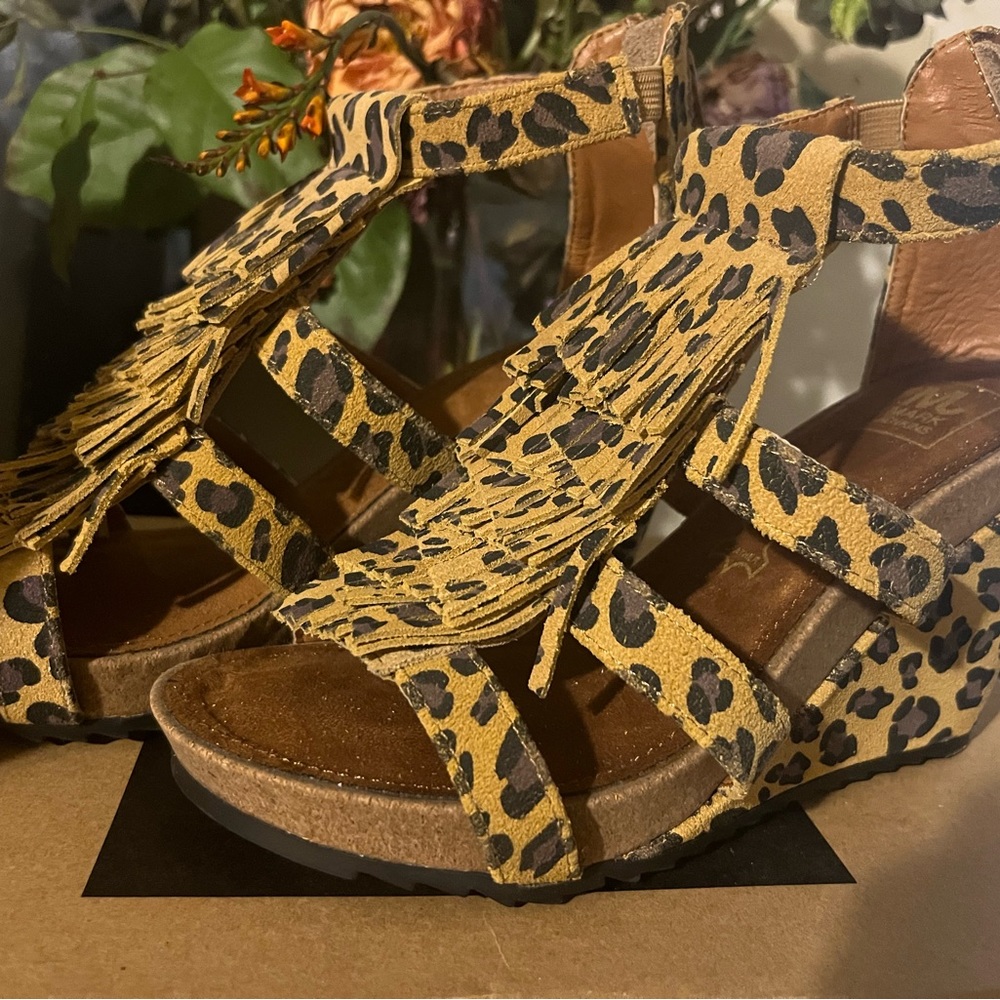Mark Jenkins leopard print suede Wedges